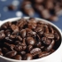 Fazendo café com uma prensa de café