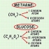 Calculando a massa molecular