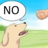 Diga não ao seu cão