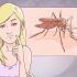 Distinção entre malária, dengue e chikungunya