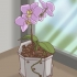 Transplante de orquídeas