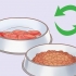 Tratamento de flatulência excessiva em cães
