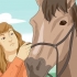Passeios a cavalo