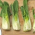 Prepare o pak choi