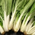 Fatiar pak choi
