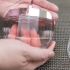 Aplique perfume