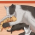 Doando gatinhos recém-nascidos