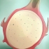 Pitaya em crescimento