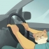 Viajar com um gato