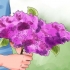 Lilases crescentes