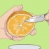 Germinando sementes de laranja