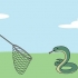 Pegando cobras