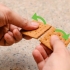 Fazendo smores em um microondas