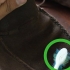 Limpeza de sperries