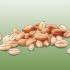 Cultivo de grama de trigo
