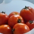 Conservas de tomate