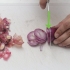 Congelar cebolas