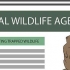 Livre-se das marmotas