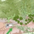 Livrar-se do knotweed japonês