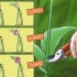 Cuidando de tulipas recém-colhidas