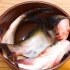 Preparar peixe