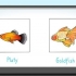 Alimentando peixes
