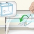Cuidando dos filhotes de guppies