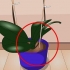 Cuidando das plantas de interior
