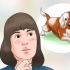 Cuidando de um filhote de beagle