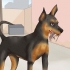 Cuidando de um pinscher miniatura