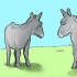 Cuidando de um burro