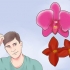 Cuidando de uma orquídea em sua casa