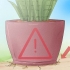 Cuidando de uma sansevieria