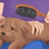 Cuidando de um shih tzu