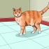 Evitando que seu gato faça xixi em casa