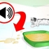 Impedindo que seu gato urine em lugares onde não é permitido