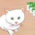Saber quando um gatinho tem idade suficiente para ser castrado ou esterilizado