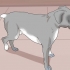 Veja se um cão está com dor