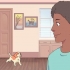 Fazendo um gato e um cachorro se tolerarem