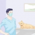 Impedindo que um gato fuja durante um movimento