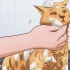 Fazendo seu gato tolerar um banho